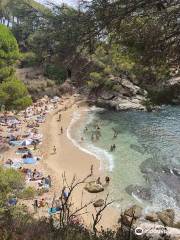 Cala del Pi