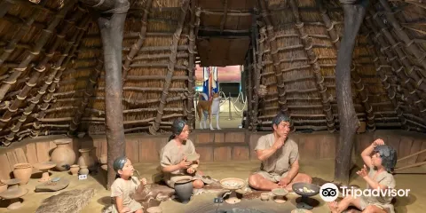 大阪府彌生文化博物館