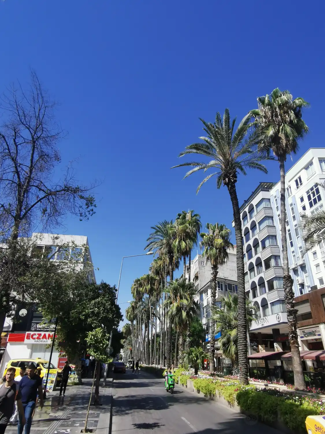 Hotel in zona Ataturk Boulevard