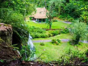 Kilfane Waterfall and Glen