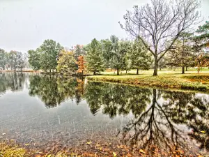 Gage Park