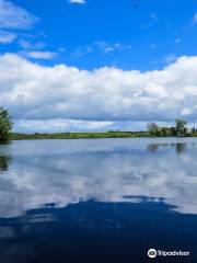 WWT Castle Espie Wetland Centre