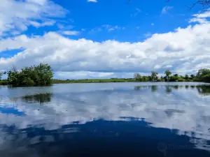 WWT Castle Espie Wetland Centre