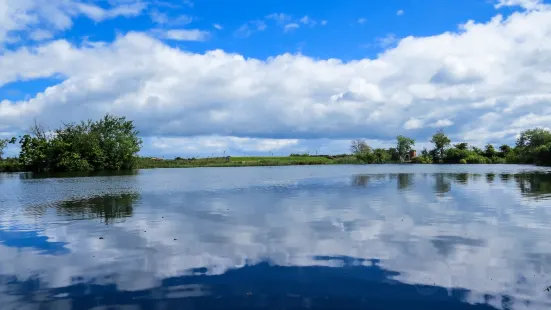 WWT Castle Espie Wetland Centre