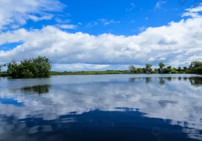 WWT Castle Espie