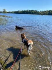 Fitzroy Provincial Park