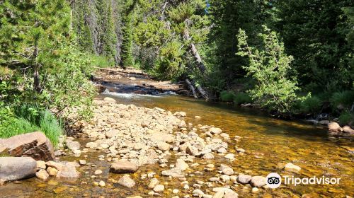 Uinta National Forest