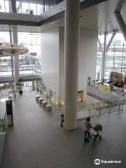 Iwate Prefecture Citizen's Cultural Exchange Center Aiina