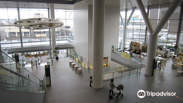 Iwate Prefecture Citizen's Cultural Exchange Center Aiina