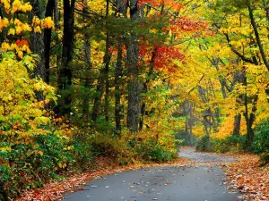 Beartown State Park