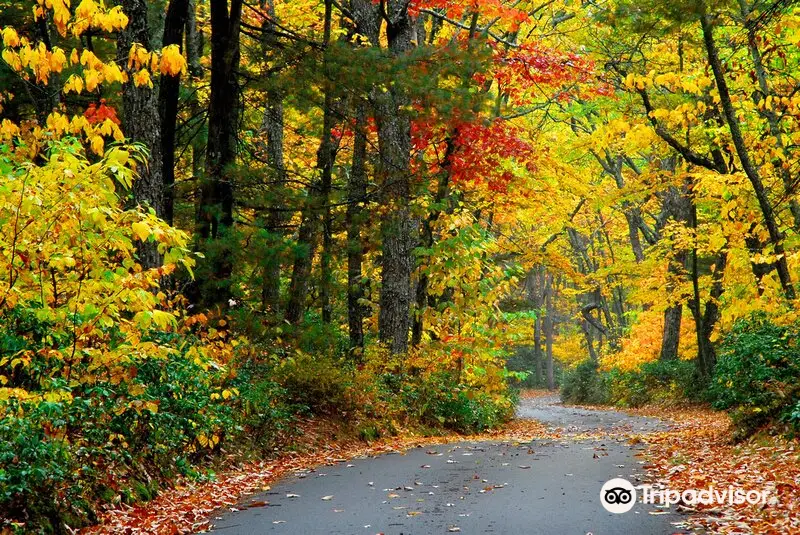 Beartown State Park