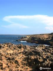 Cabo San Roman