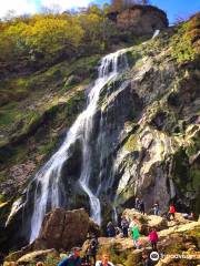 Powerscourt Waterfall