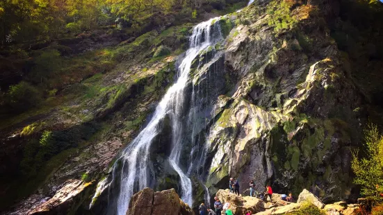 Powerscourt Waterfall