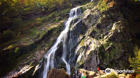 Powerscourt Waterfall
