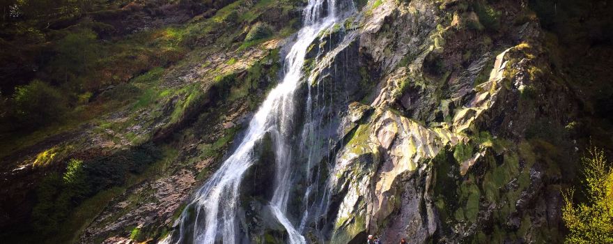 Powerscourt Waterfall