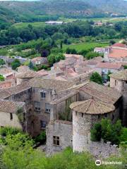 Château de Vogüé