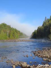 Parc régional de la Forêt Ouareau