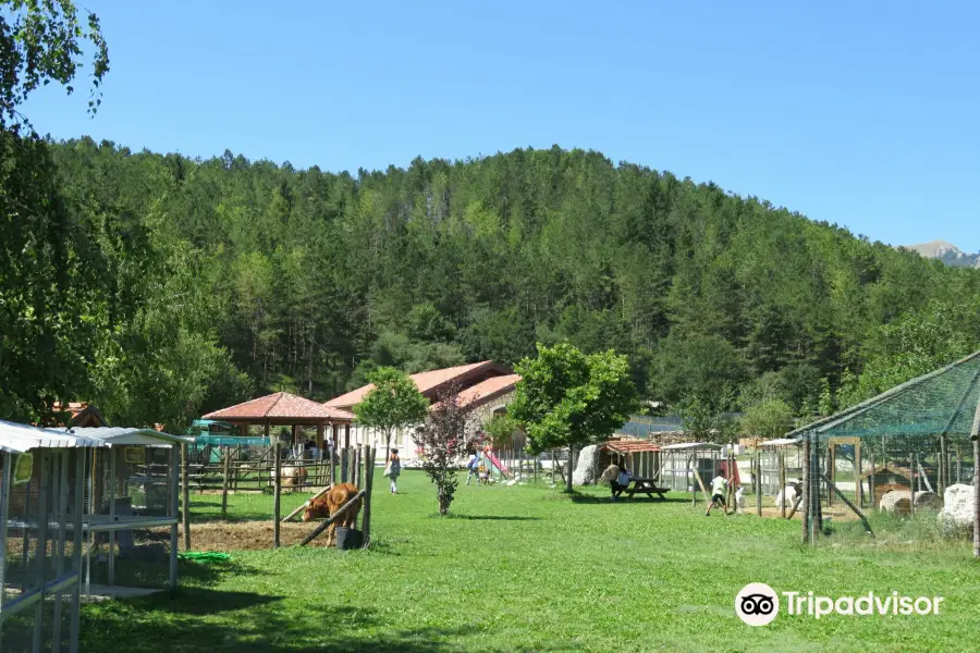 La Fattoria degli Animali