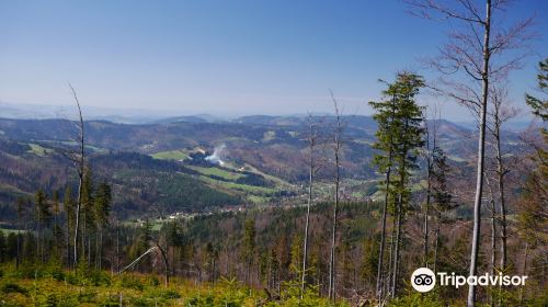 Park Krajobrazowy Beskidu Slaskiego/Beskid Slaski landscape park