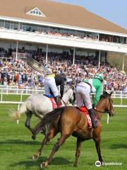 Cork Racecourse Mallow