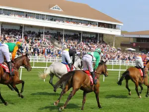 Cork Racecourse Mallow