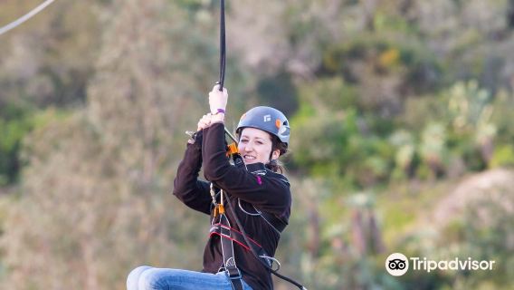 Adrenalin Addo Adventure Park