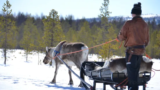 Jaakkola Reindeer Farm