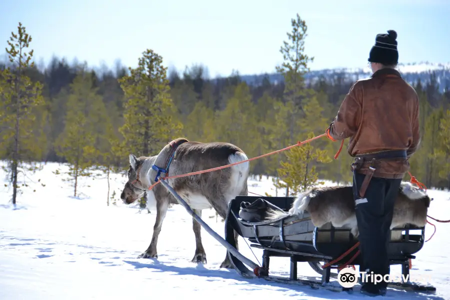 Jaakkola Reindeer Farm