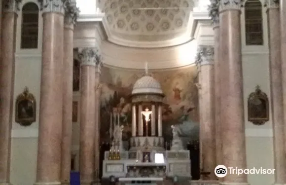 卡洛爾齊奧科泰