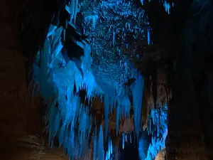 Cave of Tourtoirac