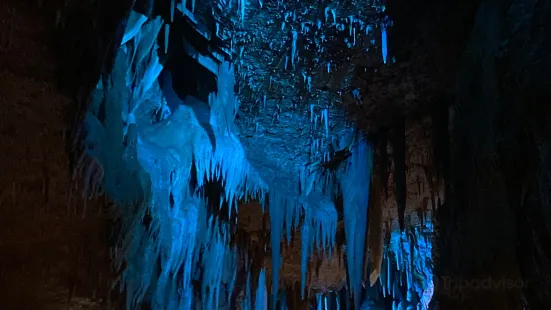 Cave of Tourtoirac