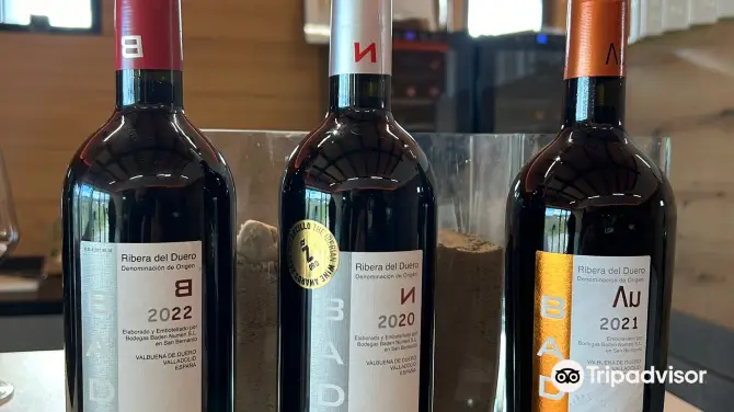 5_Bodegas Baden Numen