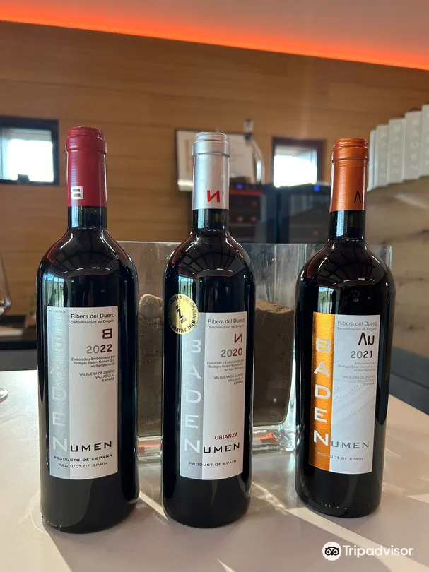 5_Bodegas Baden Numen