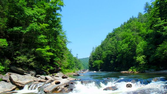 Southeastern Expeditions