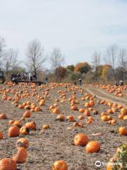 Millers' Farm and Market