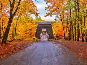 Wire Bridge