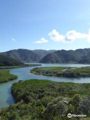 鹿兒島國定公園原始紅樹林