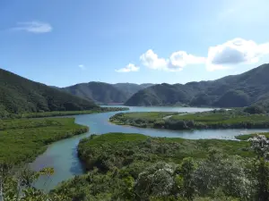 鹿兒島國定公園原始紅樹林