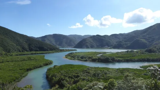 鹿兒島國定公園原始紅樹林