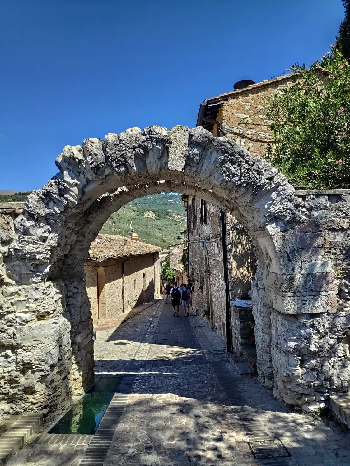 Hotel in zona Arco Romano