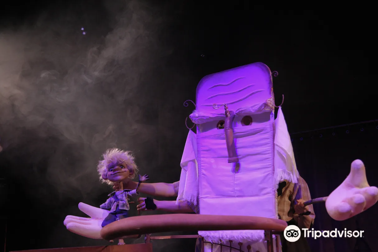 3_Костромской областной театр кукол