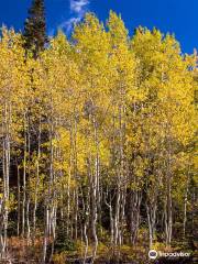 Guardsman Pass Scenic Backway