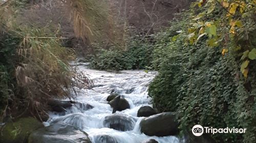 Nahal Snir Nature Preserve