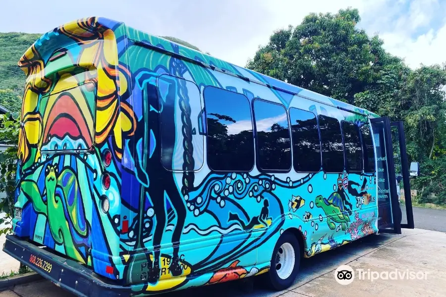 The Surf Bus - North Shore Activities Tour