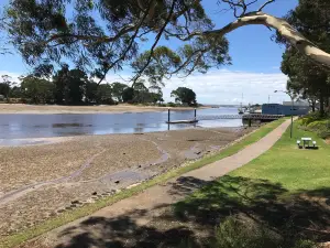 Magical Park at Gutterridge Gardens in Waratah-Wynyard