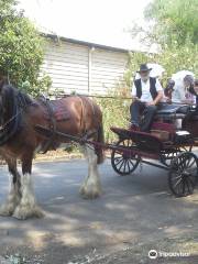 Morpeth Horse Carriage