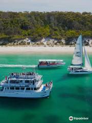 Dolphin Watch Cruises Jervis Bay