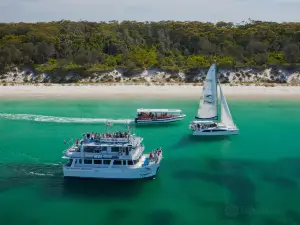 Dolphin Watch Cruises Jervis Bay