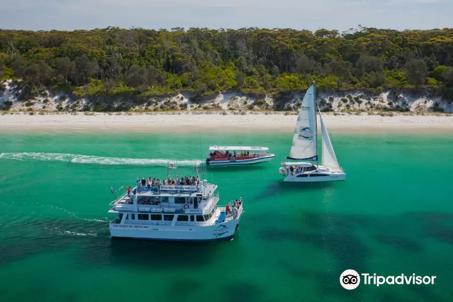 Dolphin Watch Cruises Jervis Bay